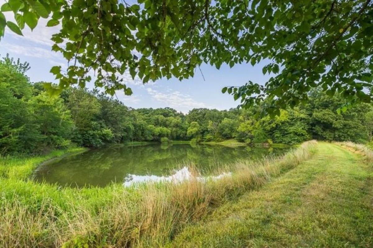 Picture of Residential Land For Sale in Oak Grove, Missouri, United States