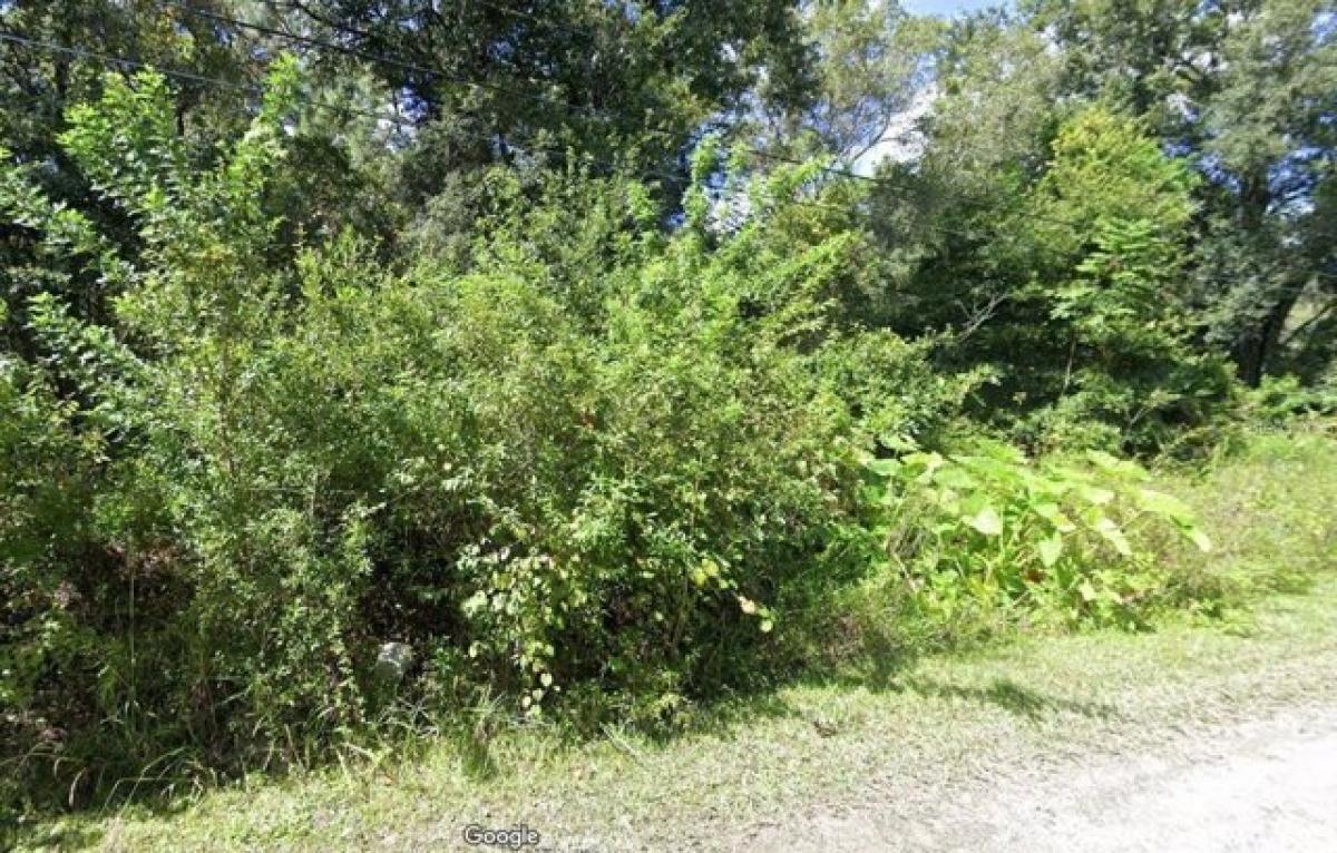 Picture of Residential Land For Sale in New Port Richey, Florida, United States