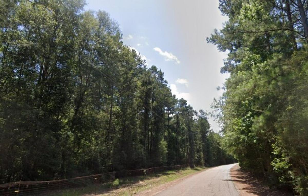 Picture of Residential Land For Sale in Livingston, Louisiana, United States