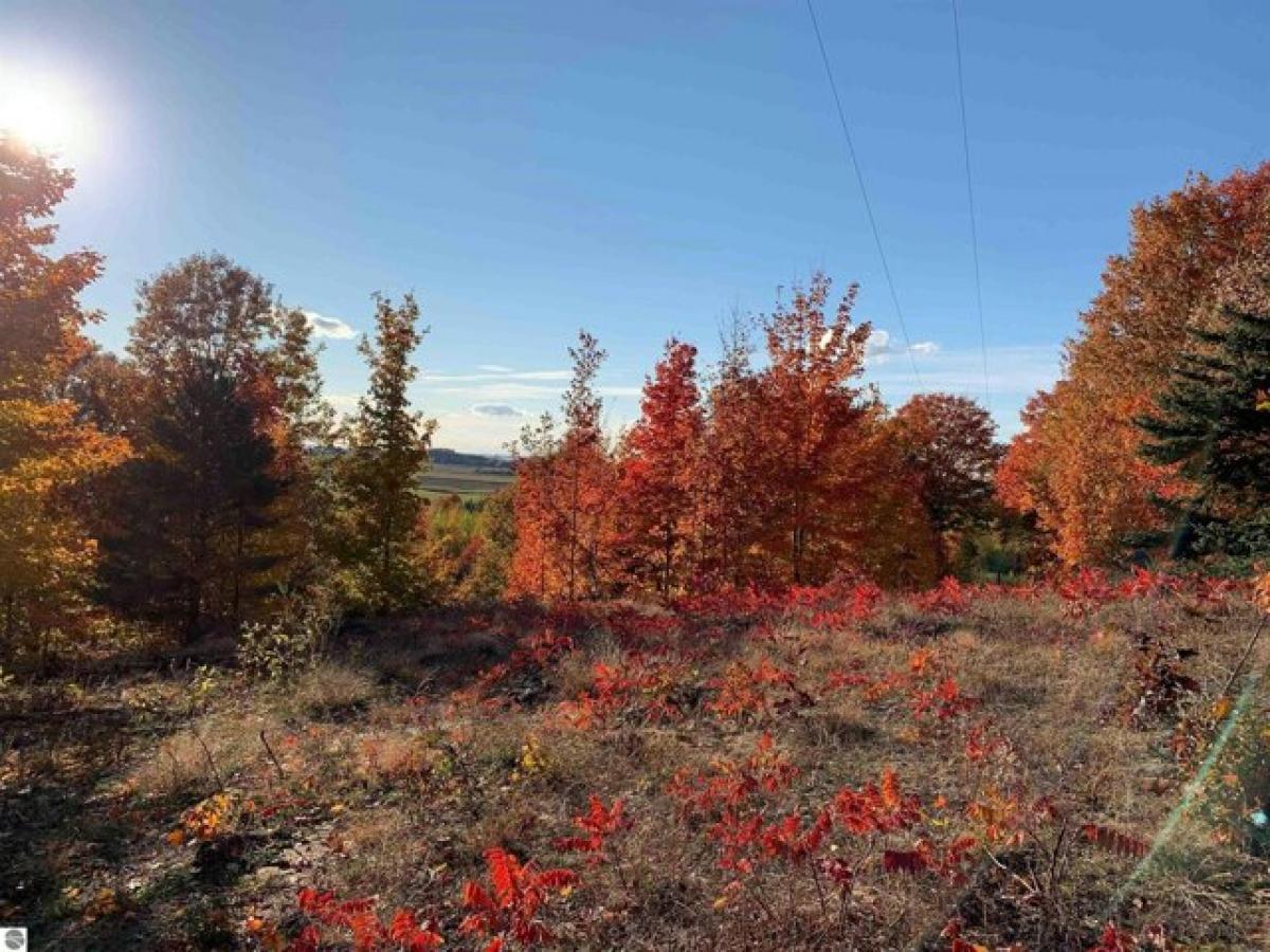 Picture of Residential Land For Sale in Williamsburg, Michigan, United States