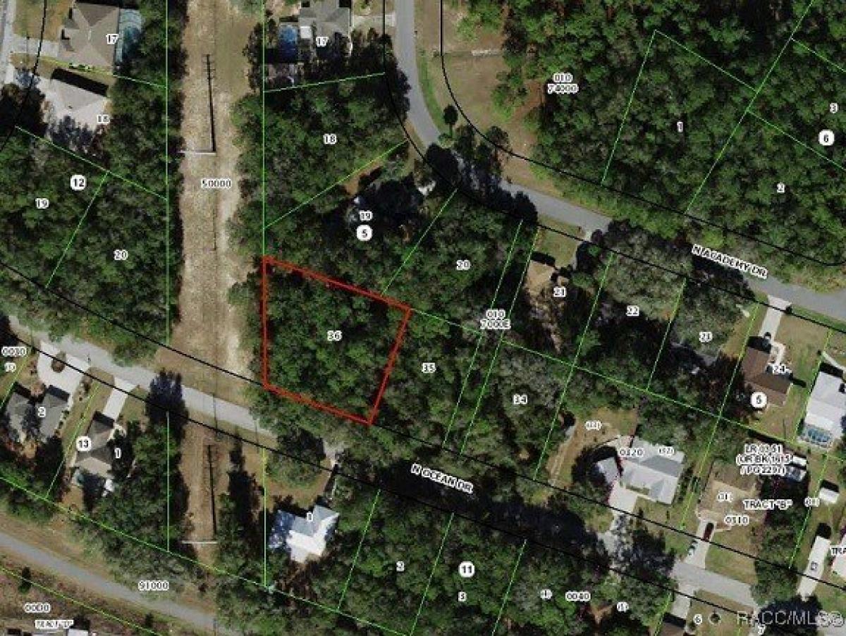 Picture of Residential Land For Sale in Citrus Springs, Florida, United States