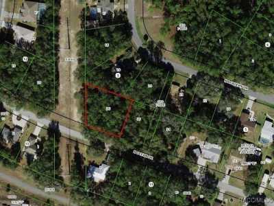 Residential Land For Sale in Citrus Springs, Florida