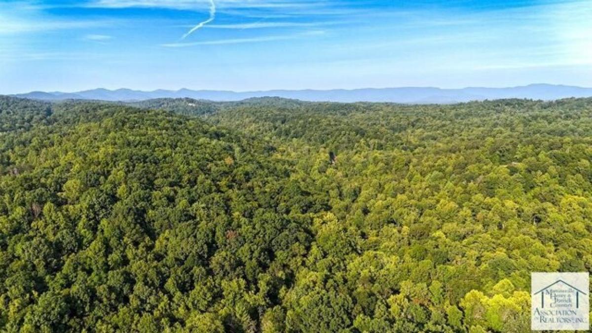 Picture of Residential Land For Sale in Stuart, Virginia, United States