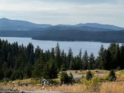 Residential Land For Sale in Harrison, Idaho