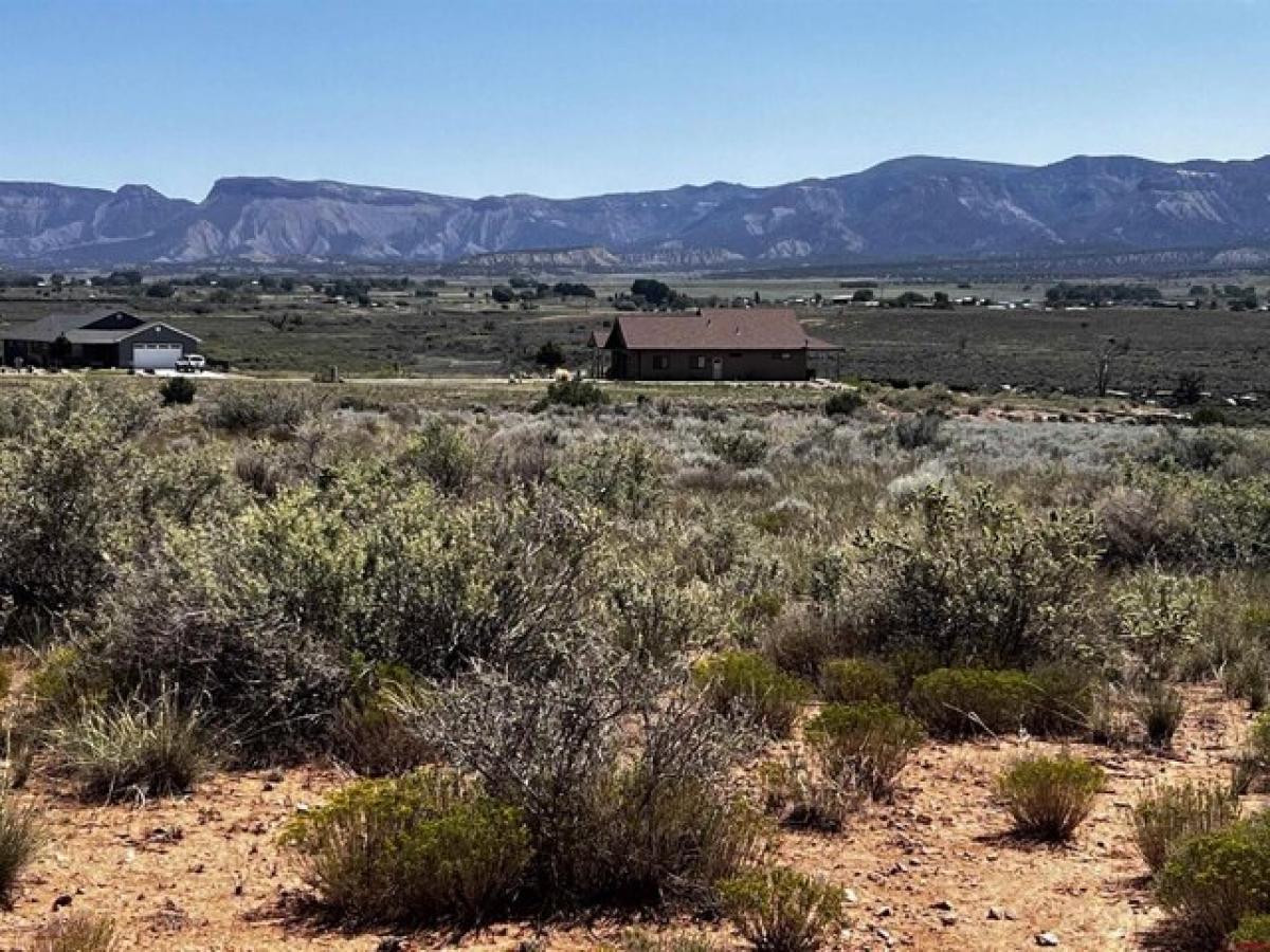 Picture of Residential Land For Sale in Cortez, Colorado, United States