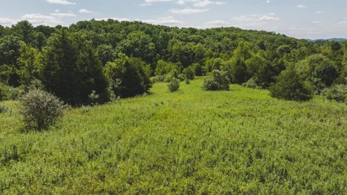 Picture of Residential Land For Sale in Bristol, Virginia, United States