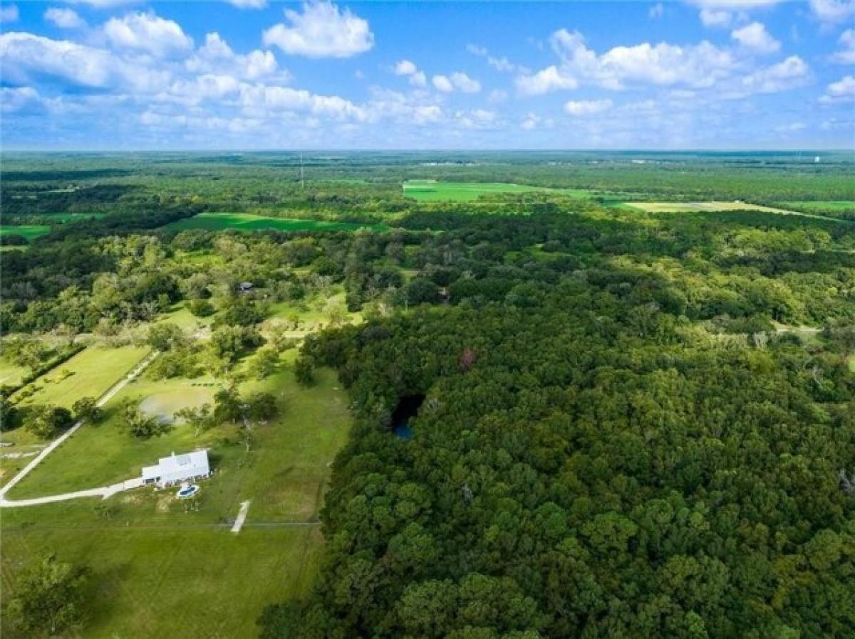 Picture of Residential Land For Sale in Theodore, Alabama, United States