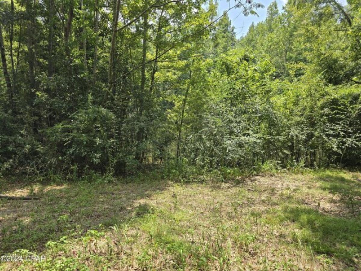 Picture of Residential Land For Sale in Bonifay, Florida, United States