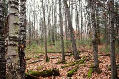 Residential Land For Sale in Hague, New York