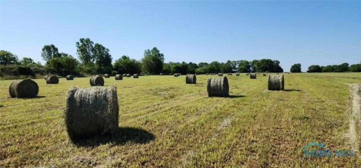 Picture of Residential Land For Sale in Fremont, Ohio, United States