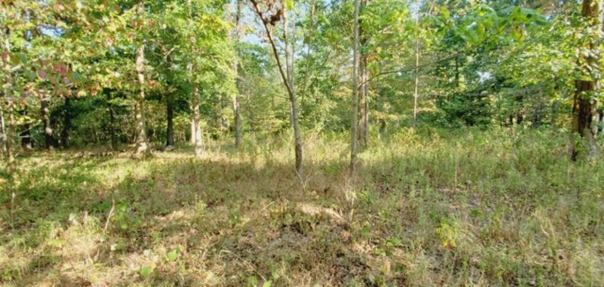 Picture of Residential Land For Sale in Joelton, Tennessee, United States