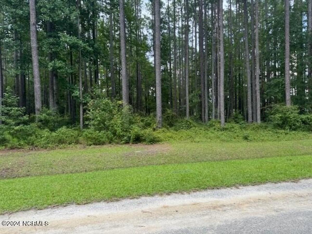 Picture of Residential Land For Sale in Oriental, North Carolina, United States