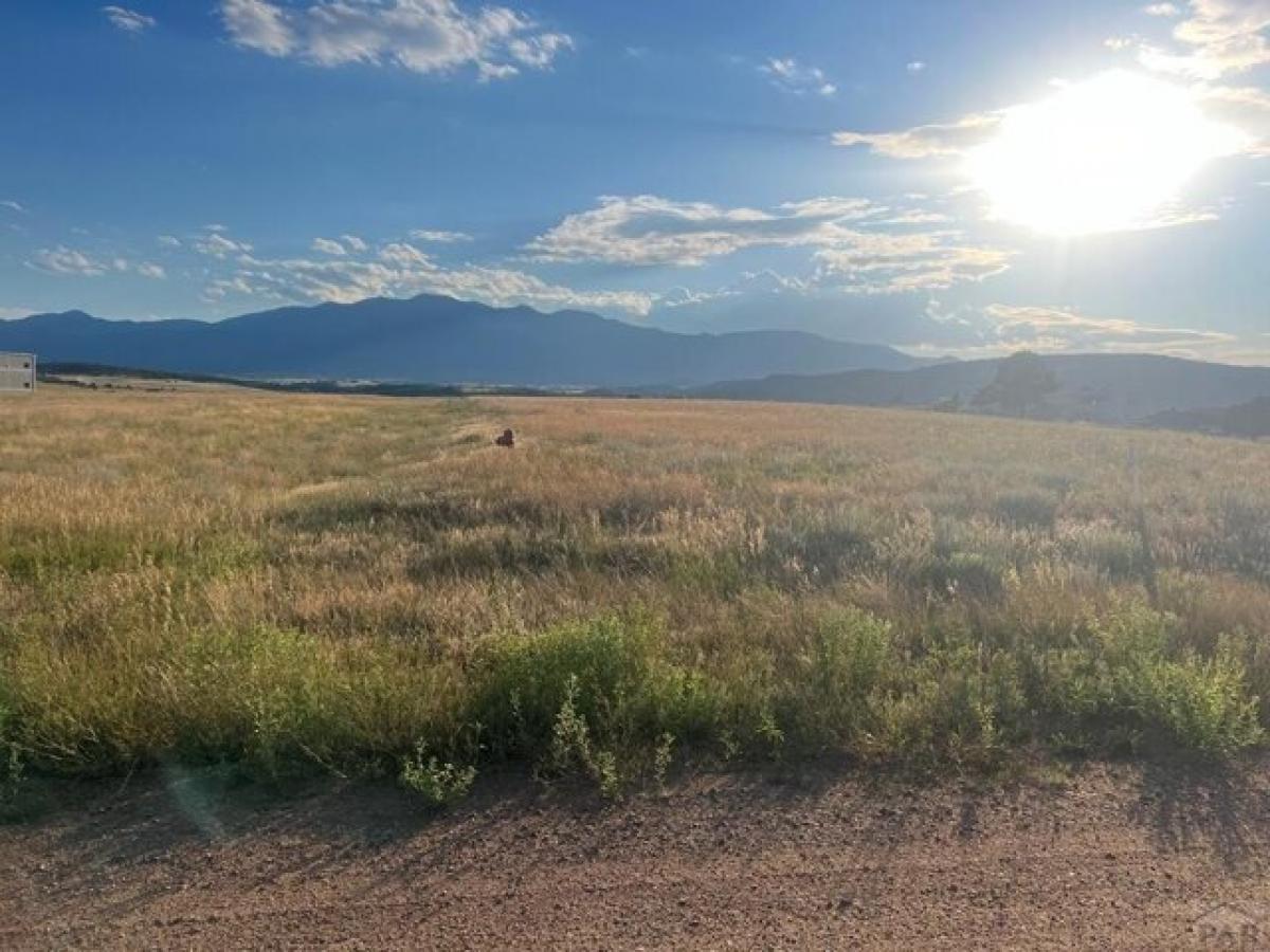 Picture of Residential Land For Rent in Colorado City, Colorado, United States