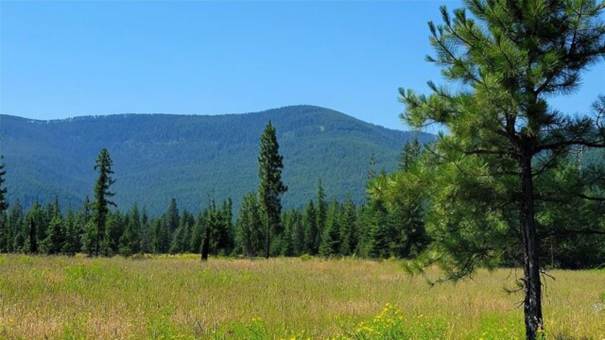 Picture of Residential Land For Sale in Trout Creek, Montana, United States