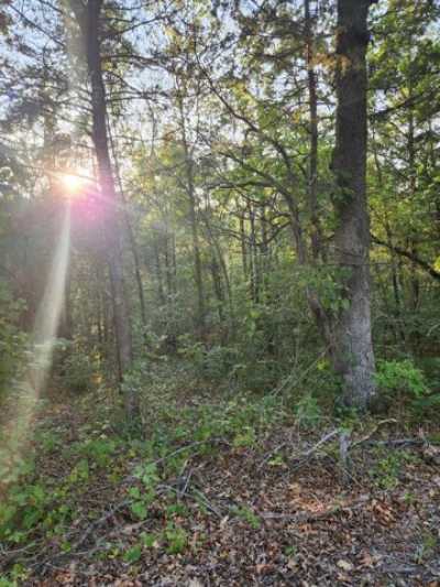 Residential Land For Rent in Shell Knob, Missouri