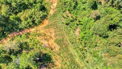 Residential Land For Sale in Ware Shoals, South Carolina