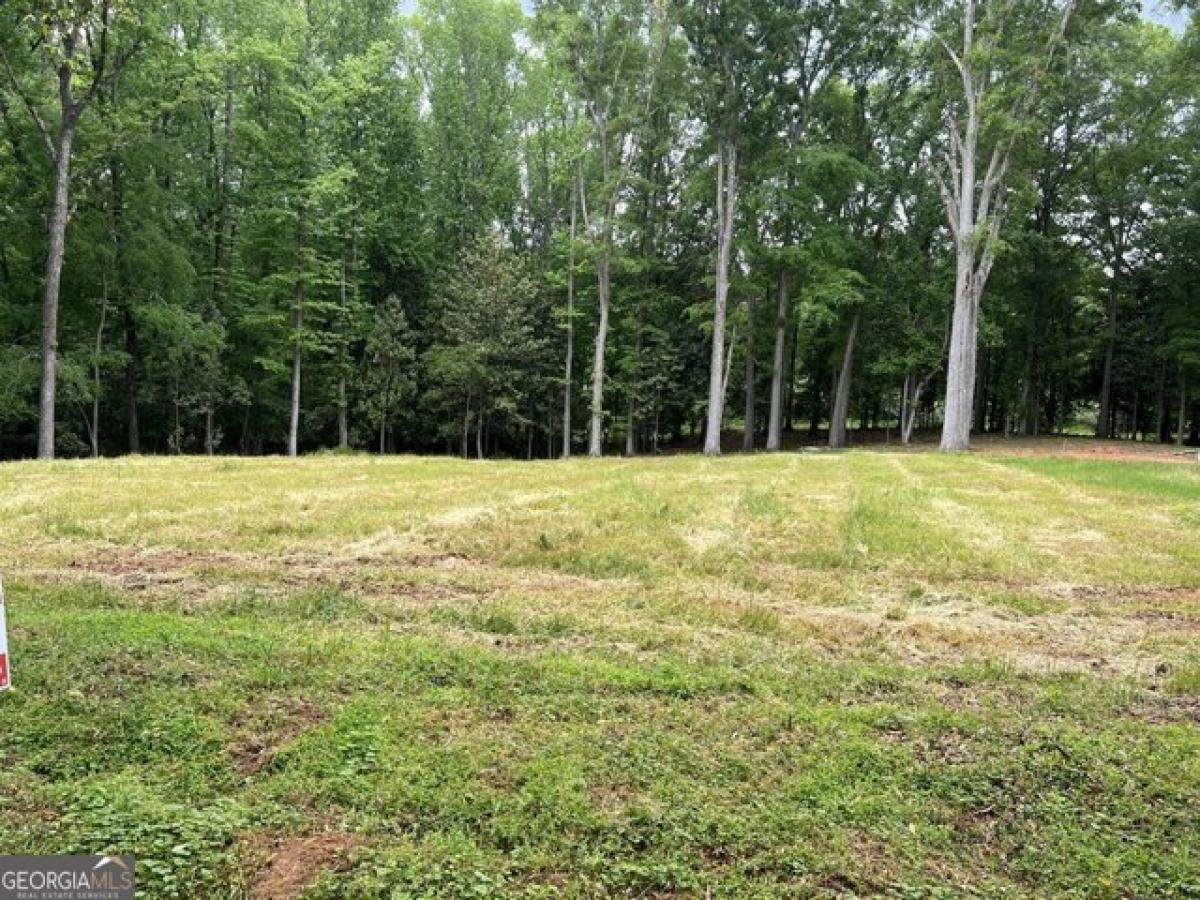 Picture of Residential Land For Sale in Madison, Georgia, United States