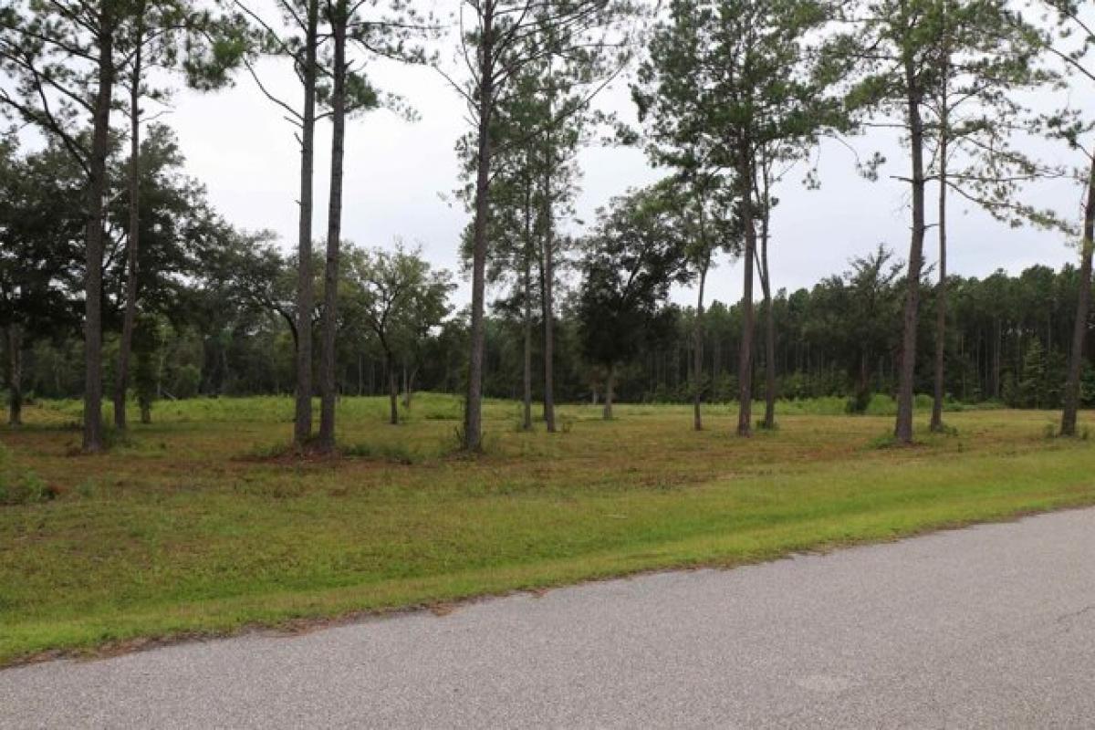 Picture of Residential Land For Sale in Monticello, Florida, United States