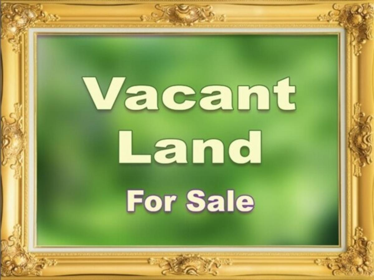 Picture of Residential Land For Sale in Chicago, Illinois, United States