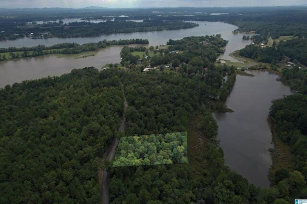 Picture of Residential Land For Sale in Riverside, Alabama, United States