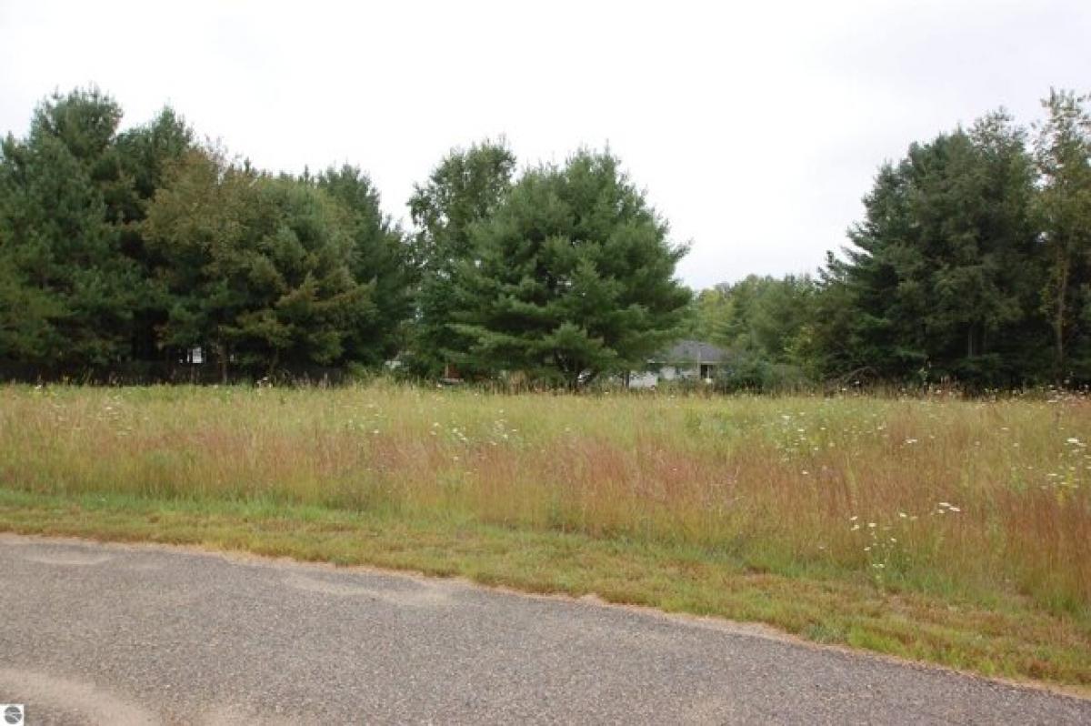 Picture of Residential Land For Sale in West Branch, Michigan, United States