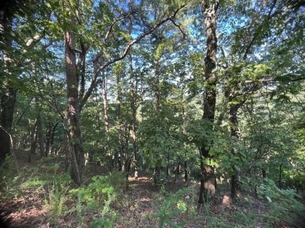 Picture of Residential Land For Rent in Holiday Island, Arkansas, United States