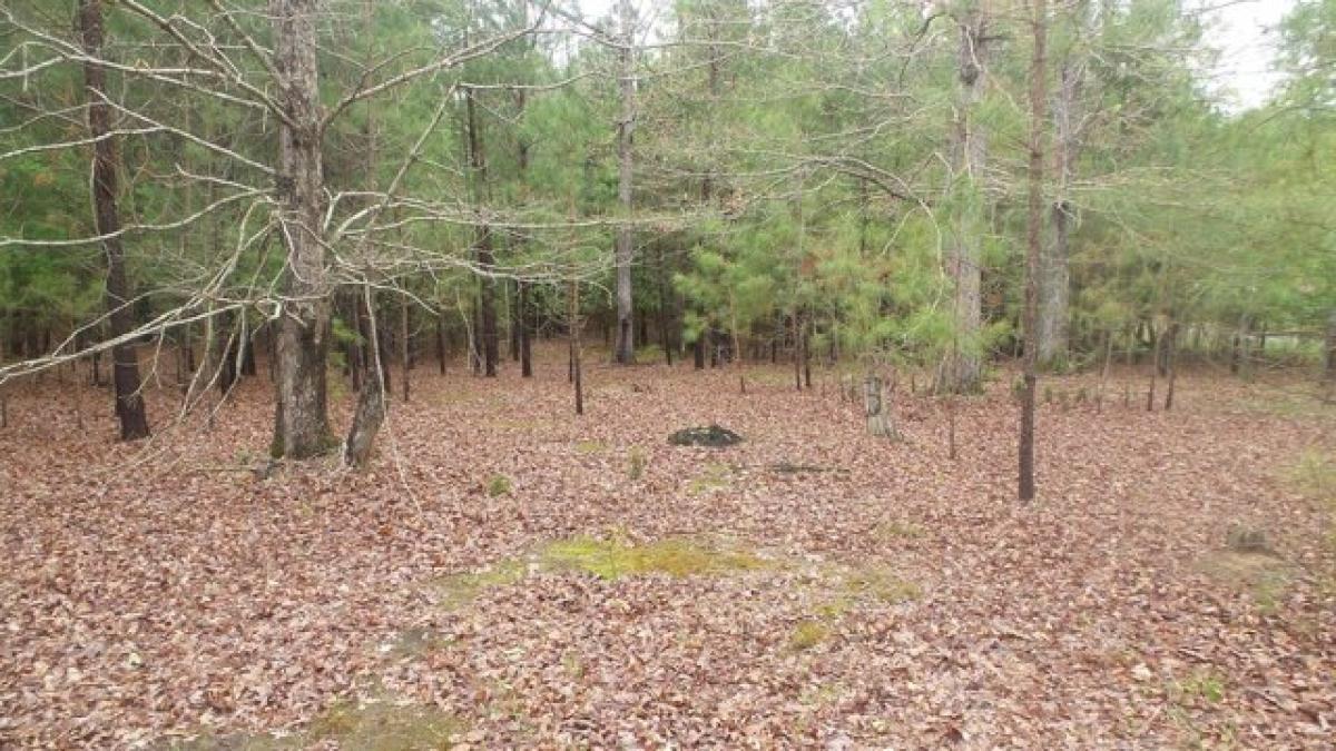 Picture of Residential Land For Sale in Lincolnton, Georgia, United States