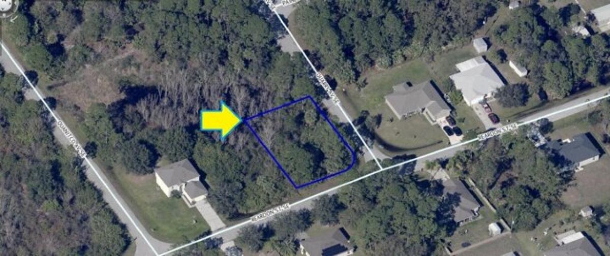 Picture of Residential Land For Sale in Palm Bay, Florida, United States