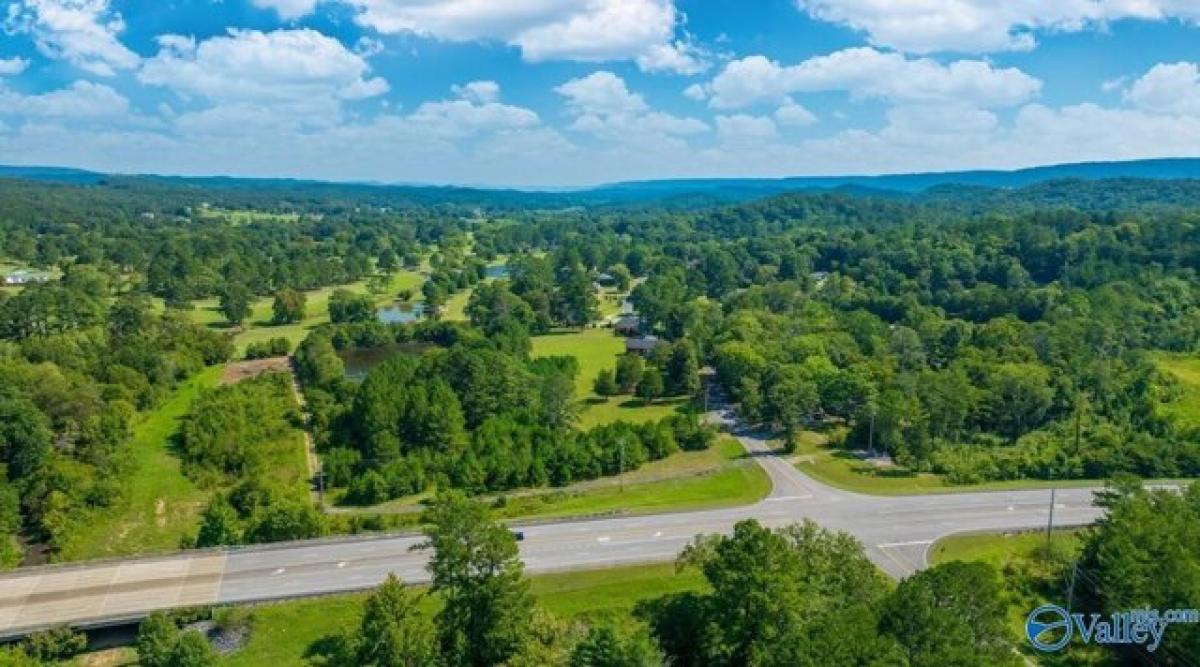 Picture of Residential Land For Sale in Fort Payne, Alabama, United States