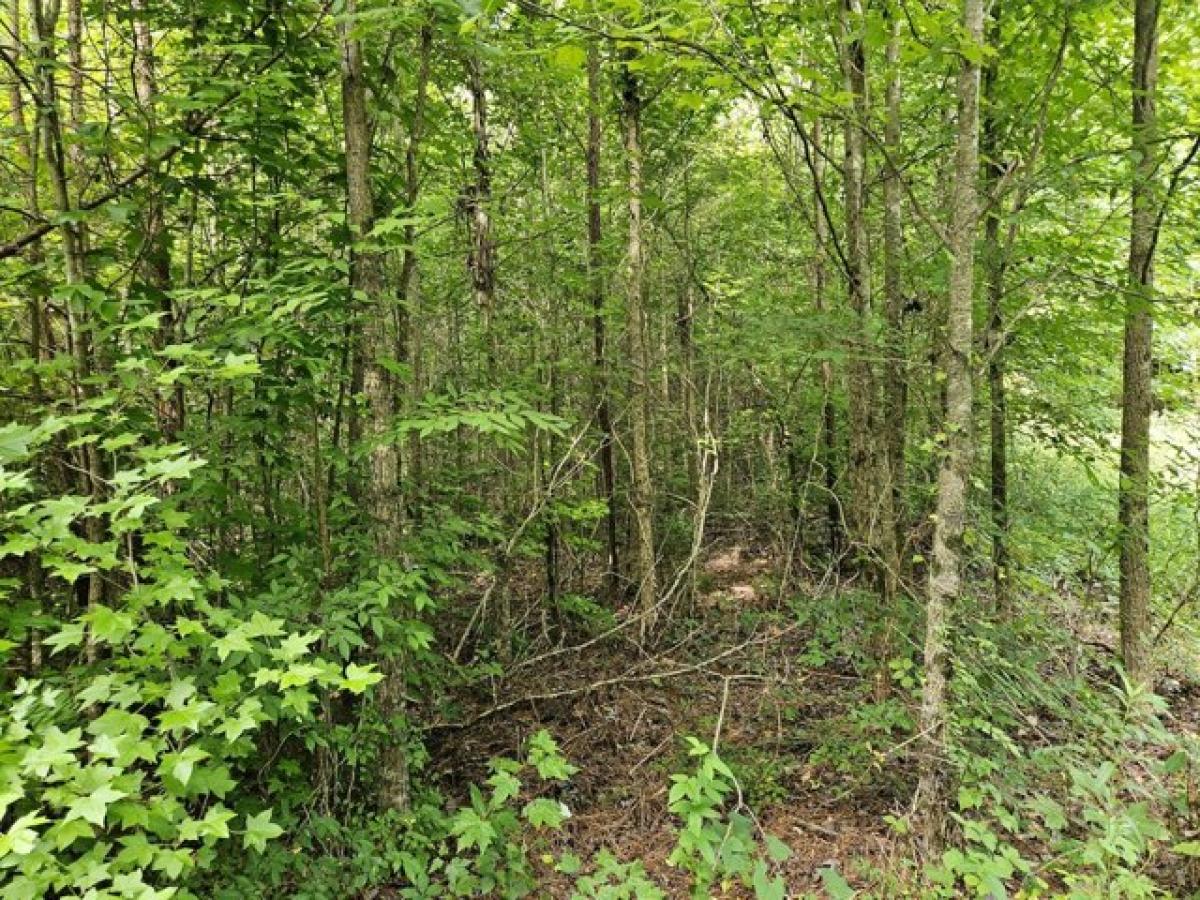 Picture of Residential Land For Sale in Ocoee, Tennessee, United States