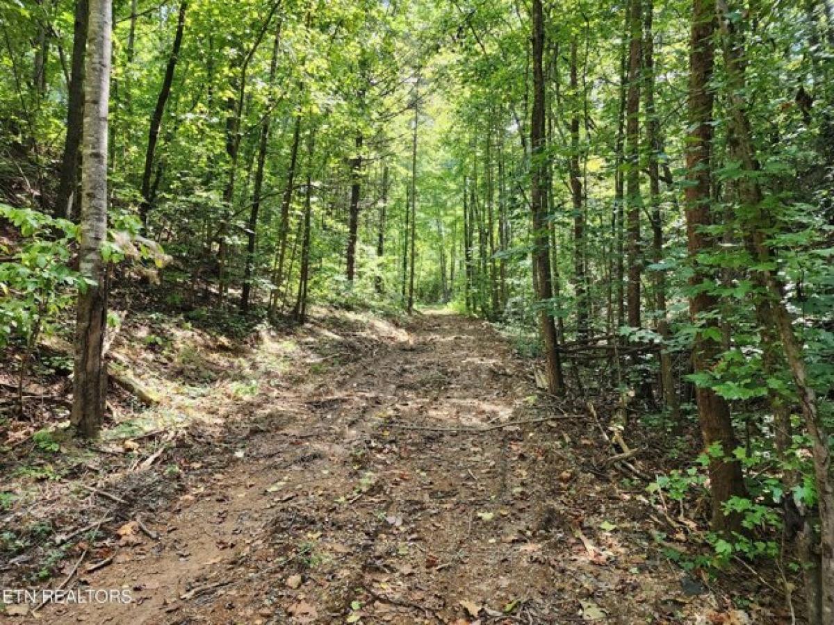 Picture of Residential Land For Sale in Pigeon Forge, Tennessee, United States