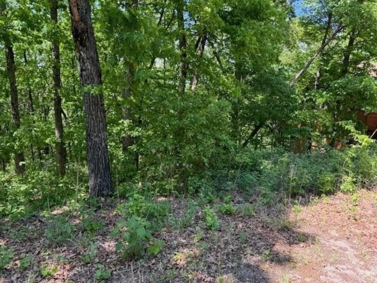 Picture of Residential Land For Rent in Holiday Island, Arkansas, United States