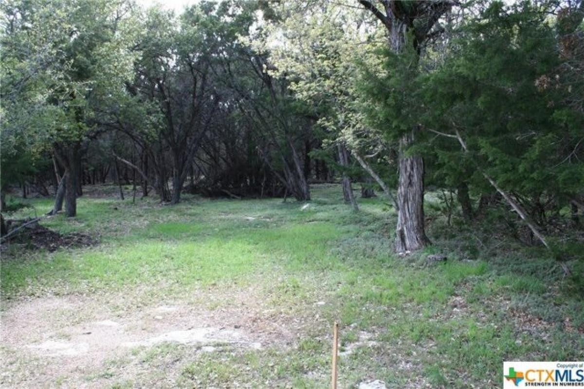 Picture of Residential Land For Sale in Belton, Texas, United States