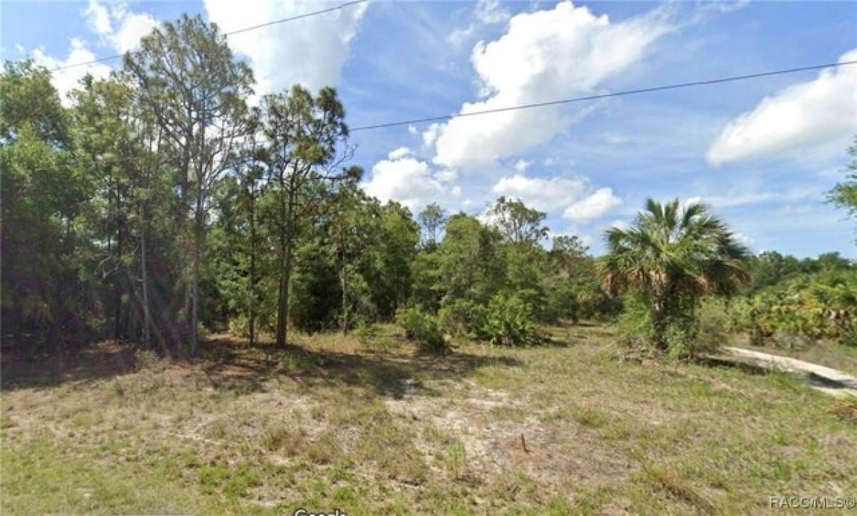 Picture of Residential Land For Sale in Crystal River, Florida, United States