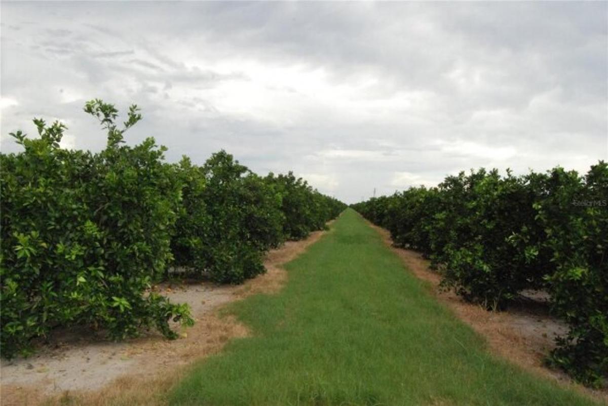 Picture of Residential Land For Sale in Arcadia, Florida, United States