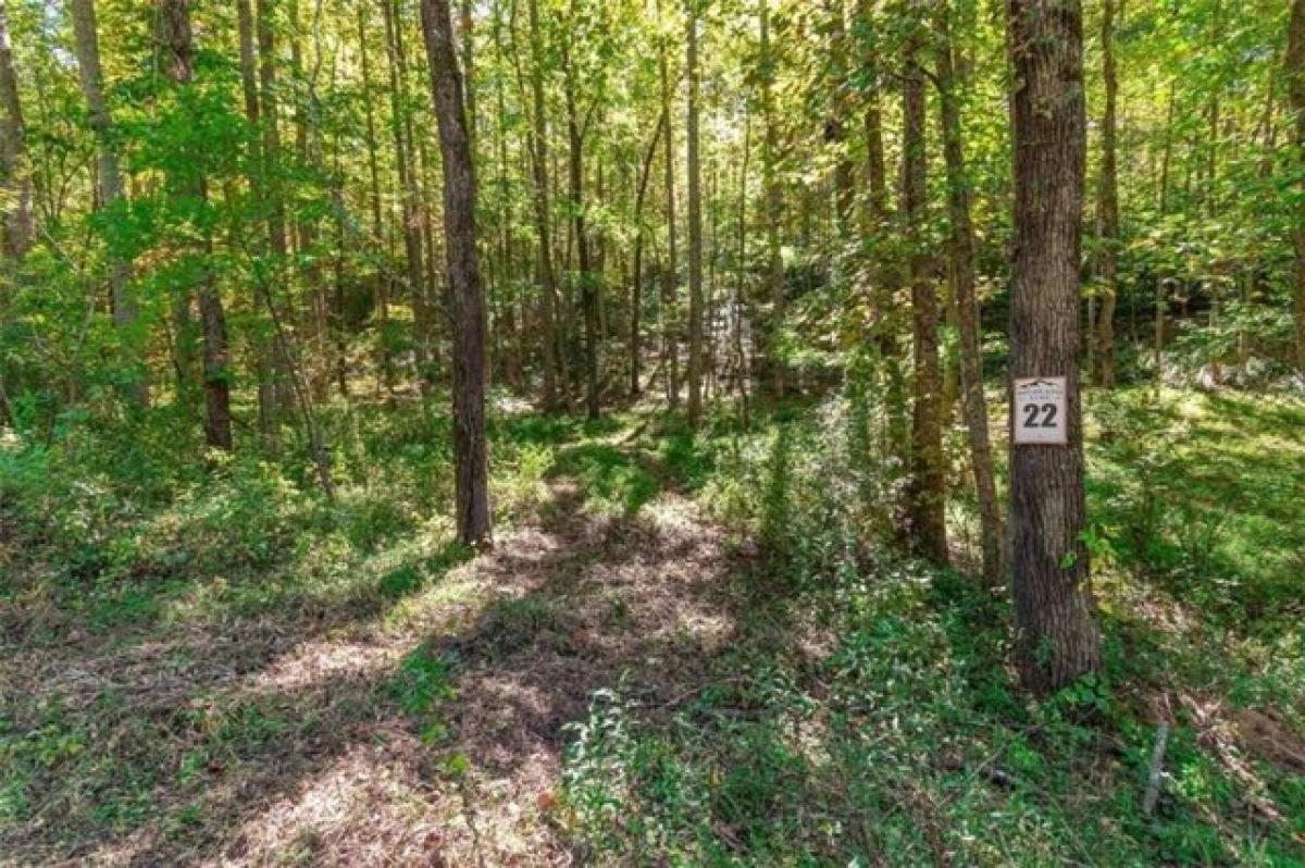 Picture of Residential Land For Sale in Blairsville, Georgia, United States