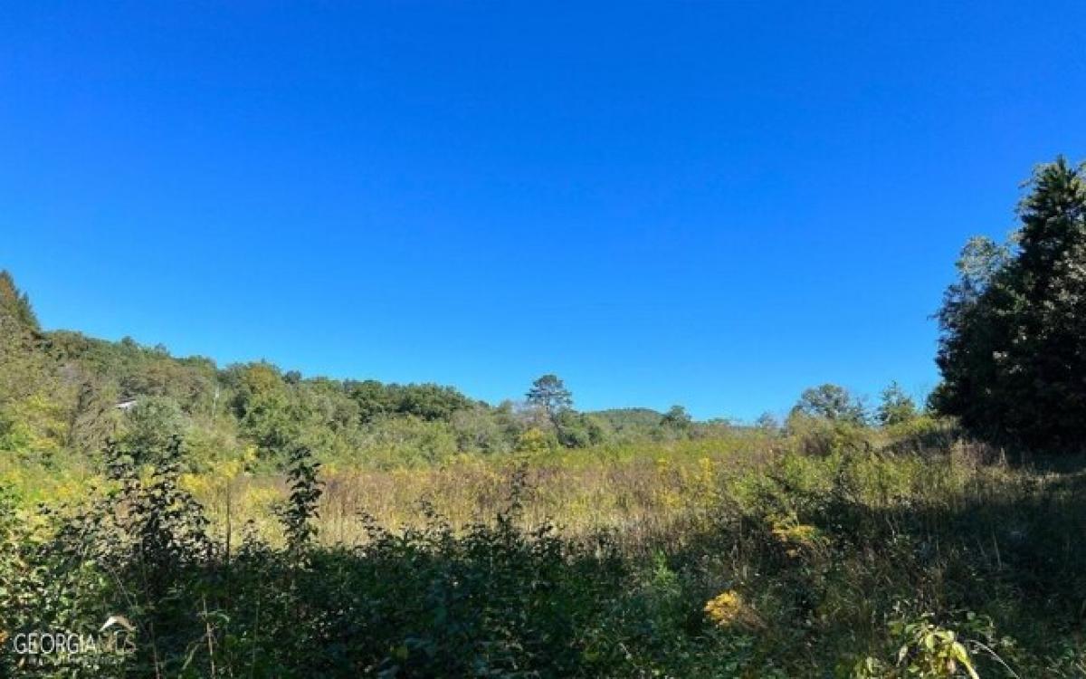 Picture of Residential Land For Sale in Hayesville, North Carolina, United States