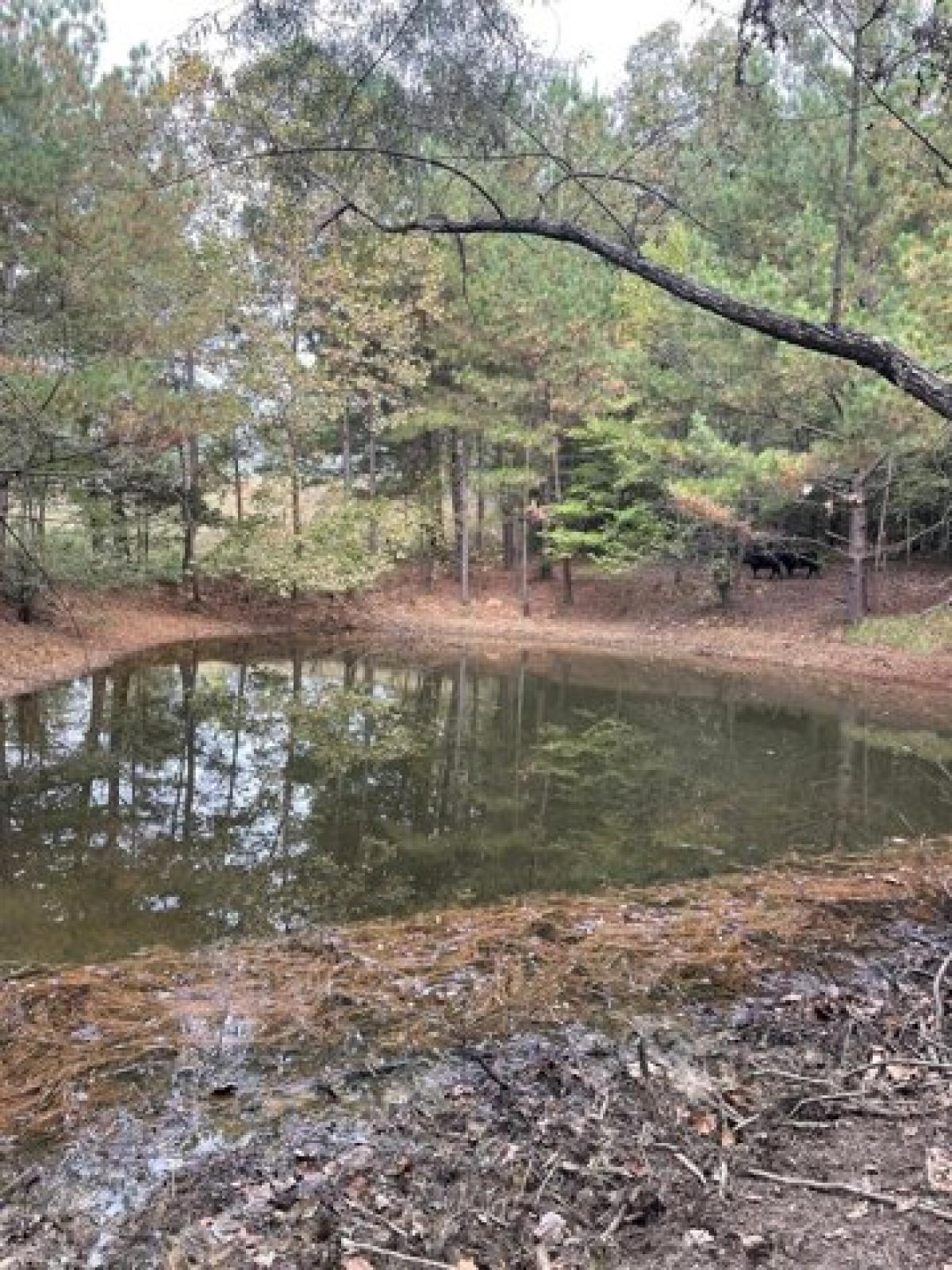 Picture of Residential Land For Sale in Mcminnville, Tennessee, United States