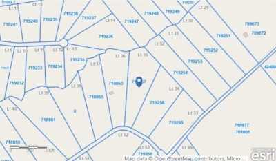 Residential Land For Sale in Centerville, Texas