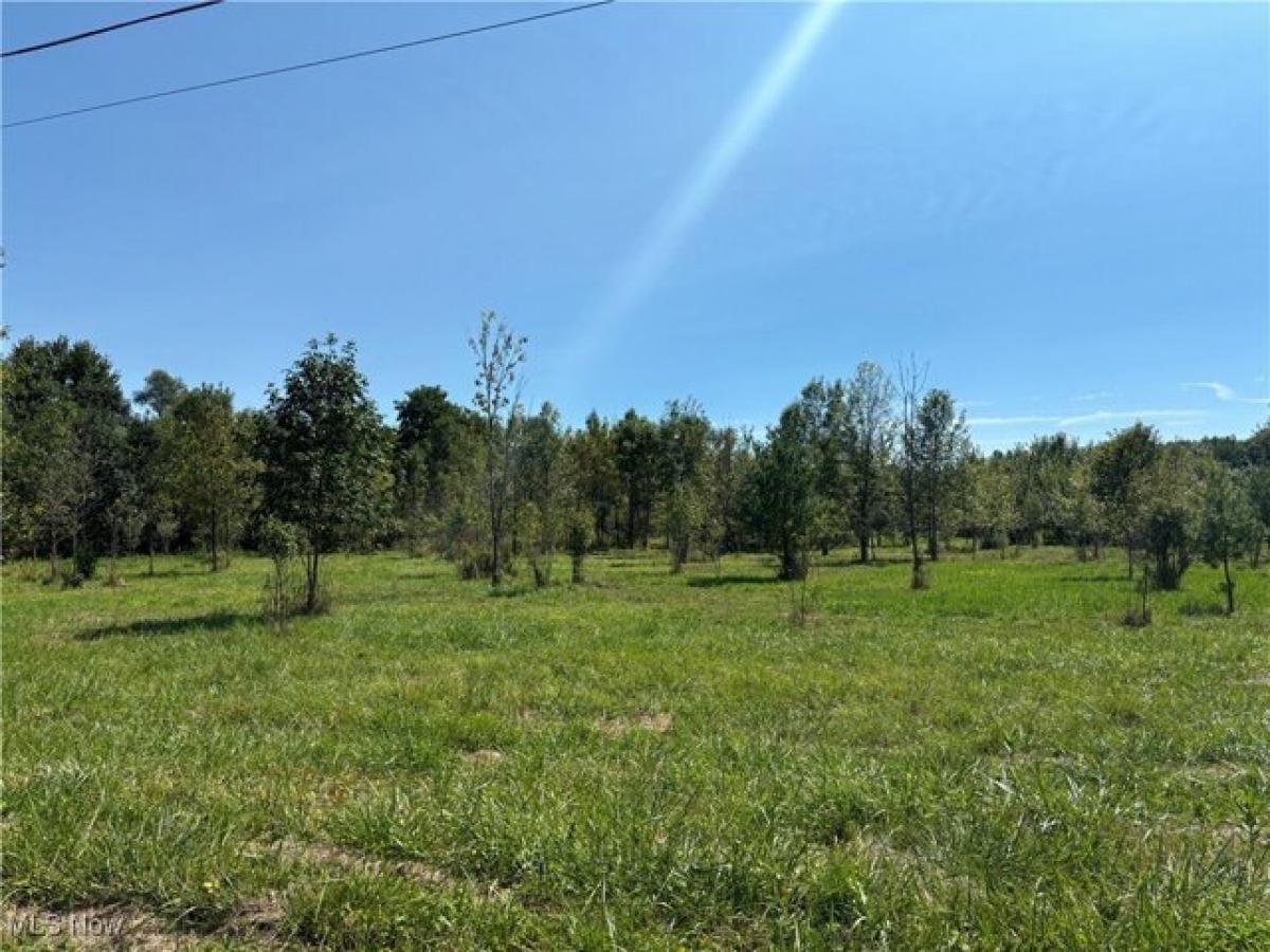 Picture of Residential Land For Sale in Seville, Ohio, United States