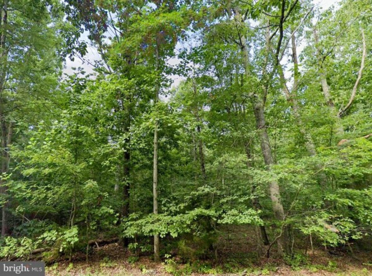 Picture of Residential Land For Sale in Culpeper, Virginia, United States