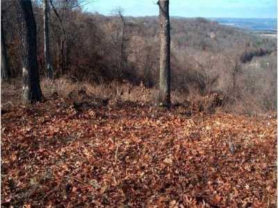 Residential Land For Rent in Holiday Island, Arkansas