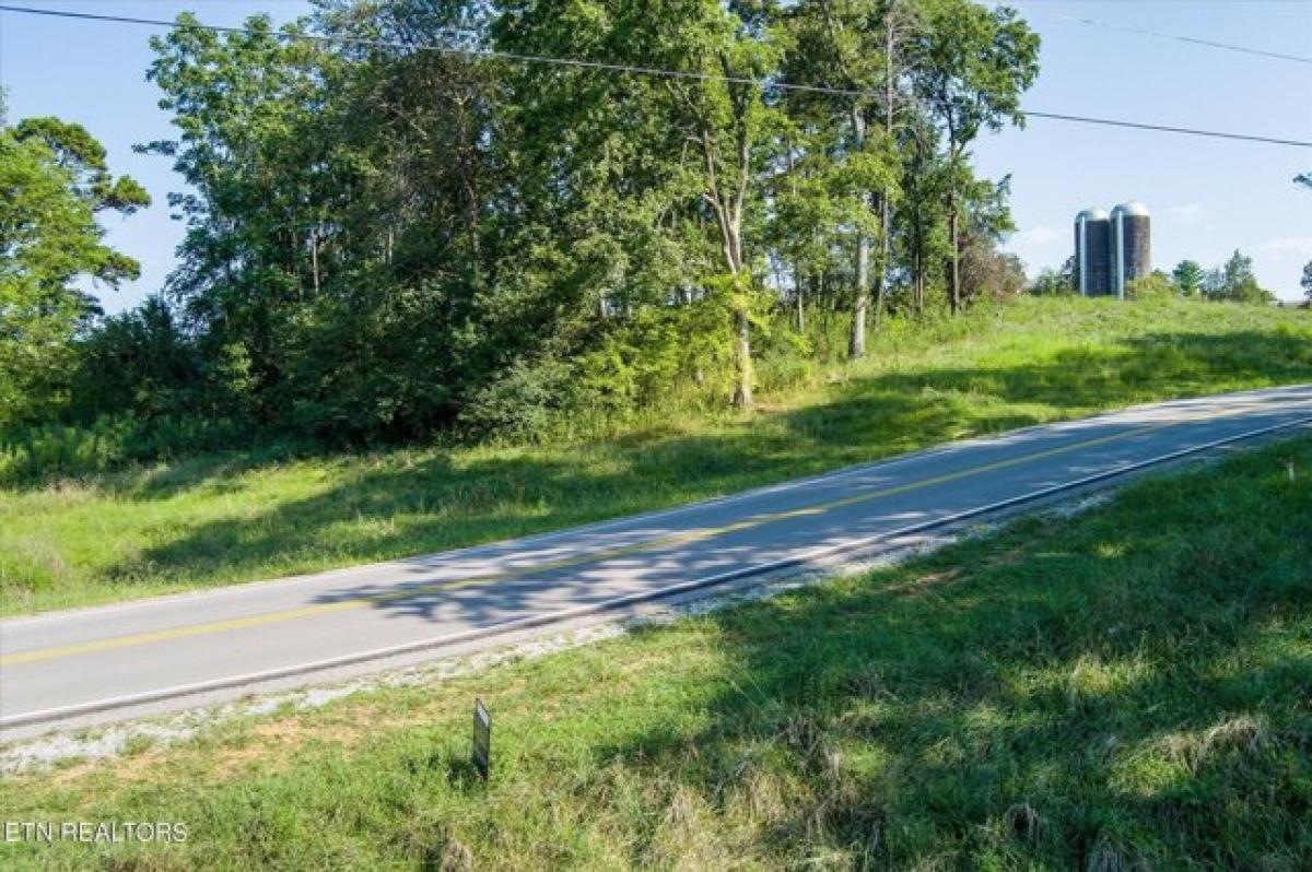 Picture of Residential Land For Sale in Rock Island, Tennessee, United States