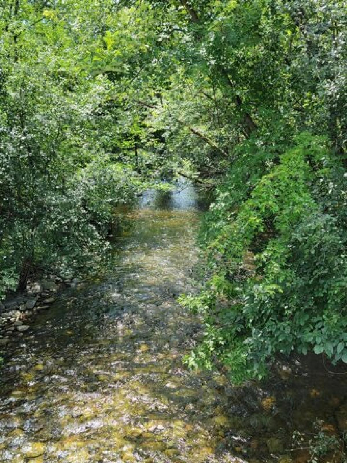 Picture of Residential Land For Sale in Merton, Wisconsin, United States