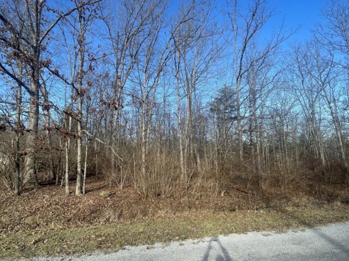 Picture of Residential Land For Rent in Crossville, Tennessee, United States