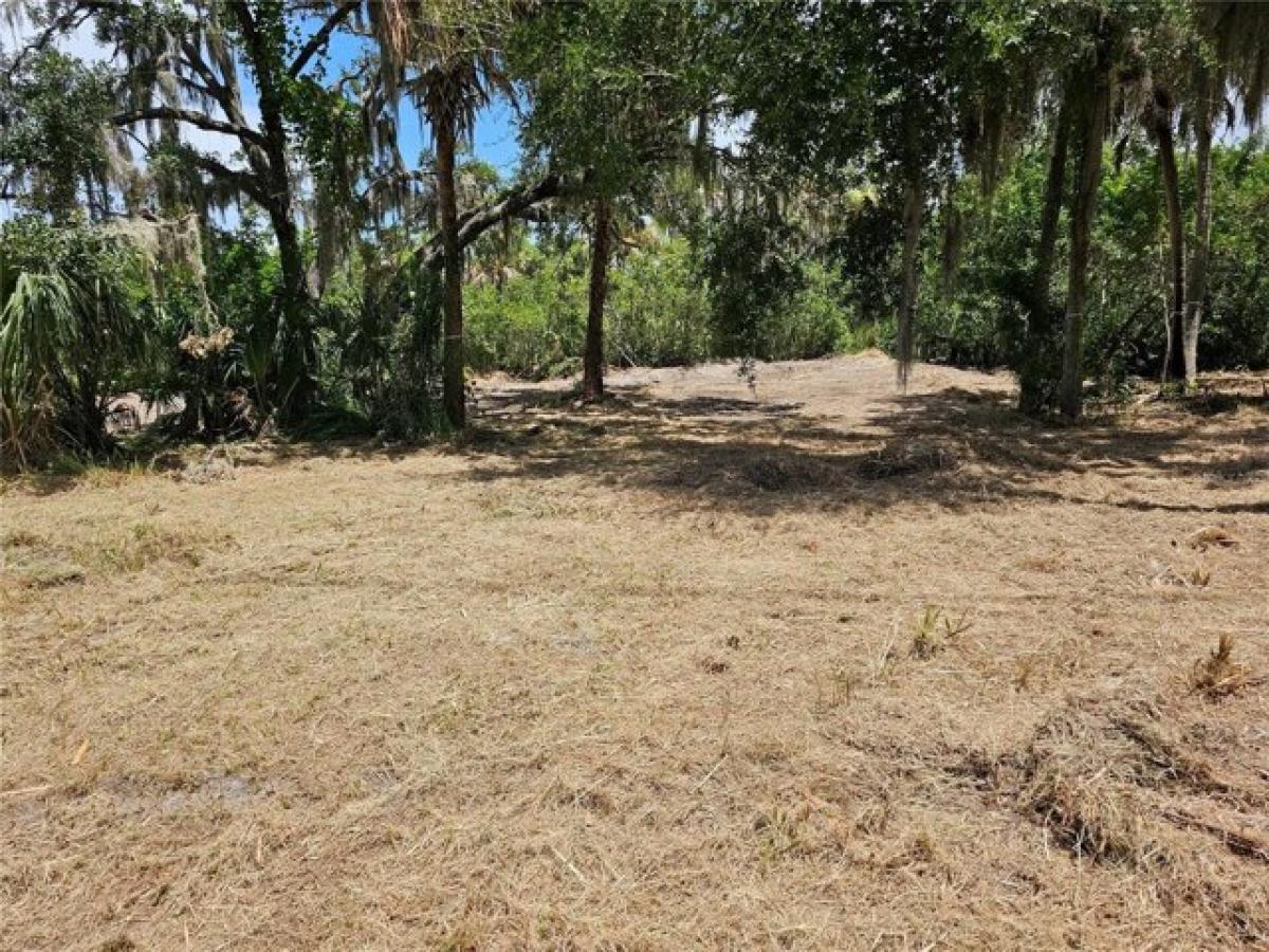 Picture of Residential Land For Sale in Ruskin, Florida, United States