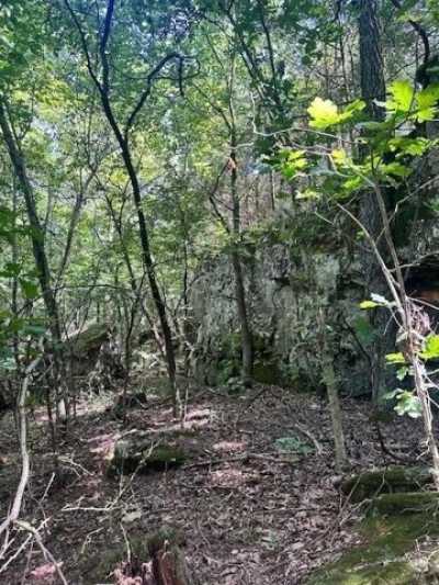 Residential Land For Sale in Lincoln, Arkansas