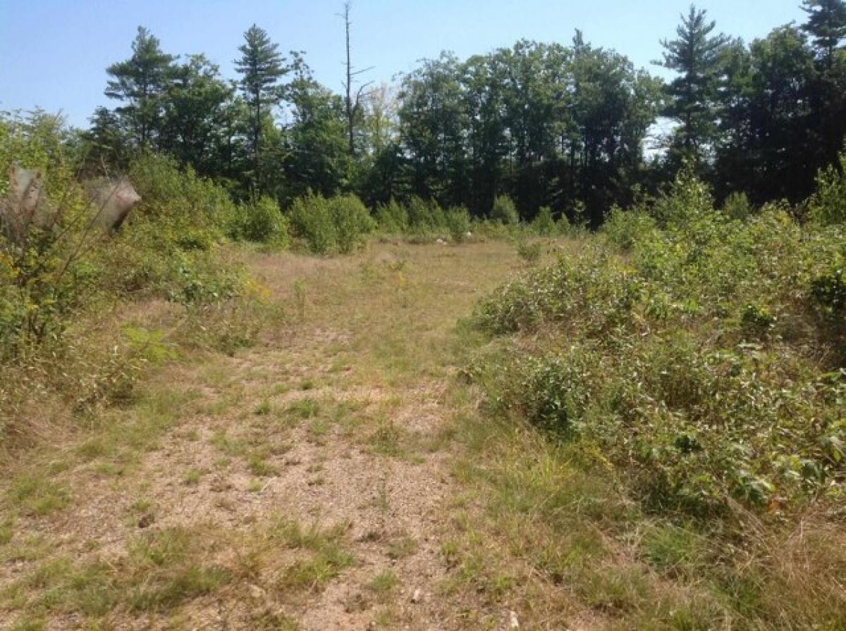 Picture of Residential Land For Sale in Effingham, New Hampshire, United States