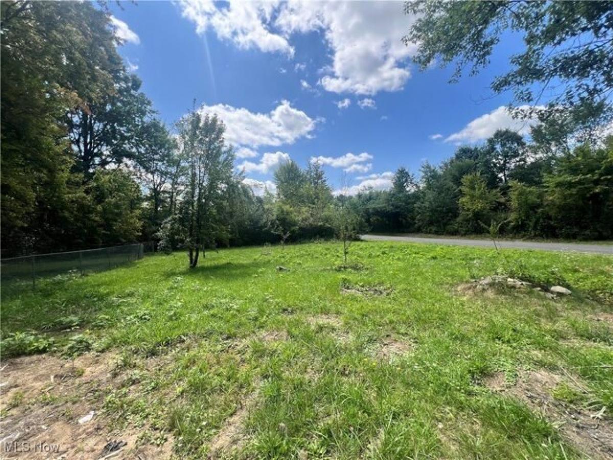 Picture of Residential Land For Sale in Kent, Ohio, United States