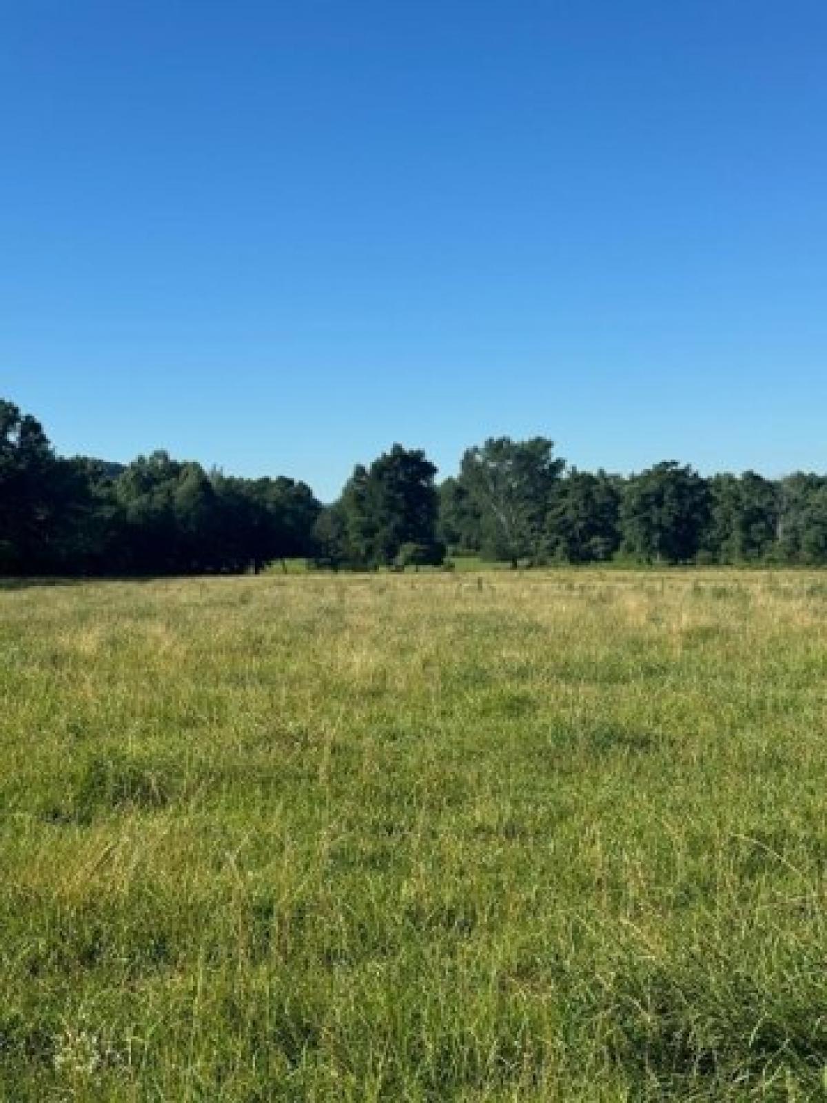 Picture of Residential Land For Sale in Livingston, Tennessee, United States